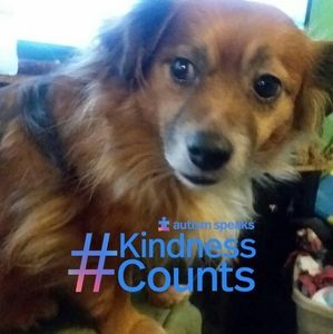 Meet your Posher, Penny